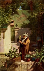 Cactus - Carl Spitzweg