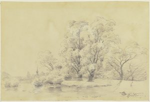 Paysage avec des arbres au bord de l