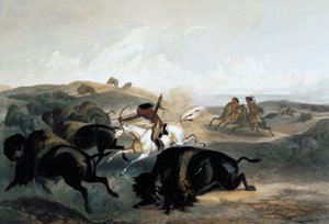 Indiens chassant le bison