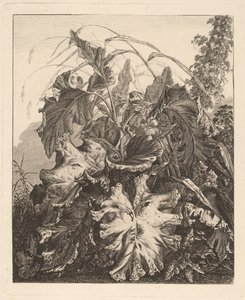 Feuillage avec roseaux - Carl Wilhelm Kolbe