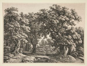 Paysage forestier - Carl Wilhelm Kolbe the elder
