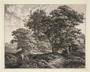 Paysage