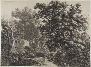 Pont rustique dans un bois enchevêtré - Carl Wilhelm Kolbe, the elder