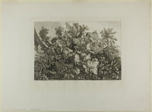 Plantes des marais - Carl Wilhelm Kolbe, the elder