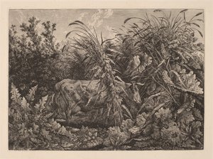 La vache dans le marais - Carl Wilhelm Kolbe, the elder
