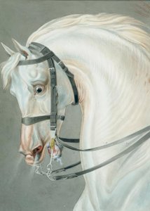 Bride pour les chevaux de carabiniers - Carle Vernet