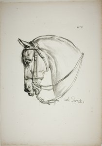Détail de la tête de cheval, agrandie au triple, Garde royale normande, n° 2 - Carle Vernet