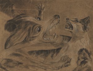 Animaux de combat