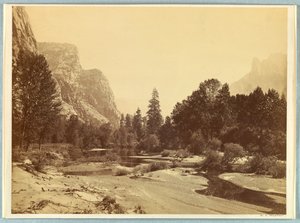 Dans la vallée, Yosemite - Carleton E. Watkins