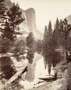 Tour de Washington, Yosemite, vers 1872, imprimé vers 1876 - Carleton E. Watkins.