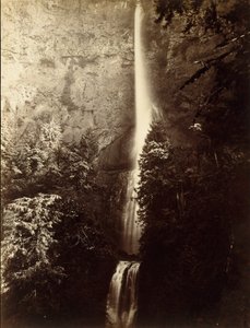 Cascade de Multnomah, rivière Columbia, 1867 - Carleton Emmons Watkins