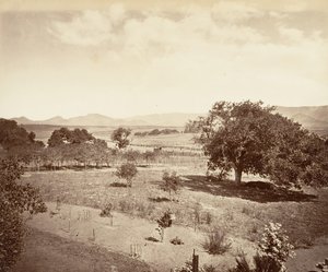 Ranch de Steel, San Luis Obispo, 1876 - Carleton Emmons Watkins