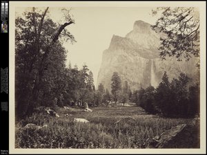 Le Voile de la Mariée, 900 pieds, Yosemite - Carleton E. Watkins