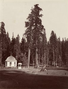 Le Sentinelle, 315 pieds, 1865-66, imprimé vers 1876 - Carleton Emmons Watkins