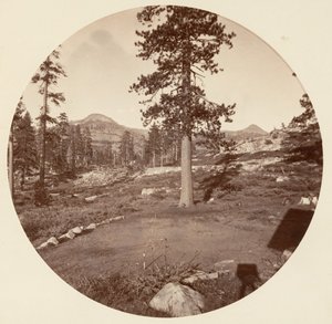 [Parc national de Yosemite, Californie] - Carleton Emmons Watkins