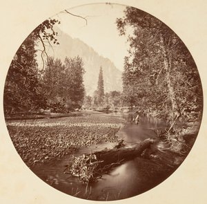 [Parc national de Yosemite, Californie], vers 1878 - Carleton Emmons Watkins