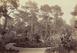  - Carleton Watkins