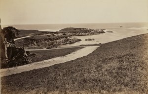  - Carleton Watkins