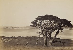  - Carleton Watkins