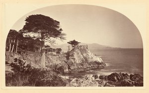  - Carleton Watkins