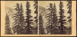 Half Dome et Vernal Fall, depuis South Fork - Carleton Watkins