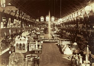  - Carleton Watkins