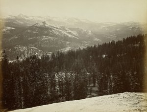  - Carleton Watkins