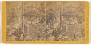 [Vue en miroir, vallée de Yosemite, comté de Mariposa, Californie]. - Carleton Watkins