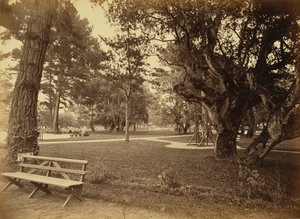 [Monterey, Californie, Hôtel Del Monte, Lawn View]. - Carleton Watkins