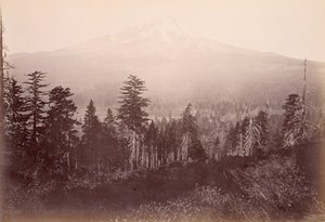  - Carleton Watkins