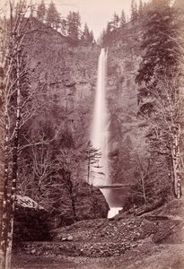  - Carleton Watkins