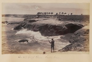  - Carleton Watkins