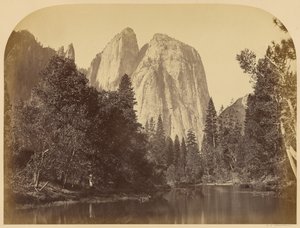  - Carleton Watkins