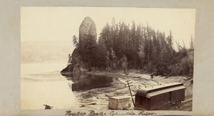  - Carleton Watkins