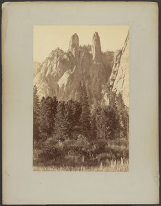  - Carleton Watkins