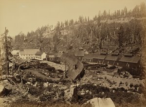  - Carleton Watkins