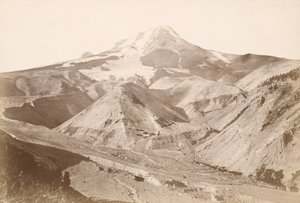  - Carleton Watkins