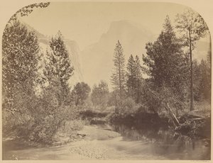  - Carleton Watkins
