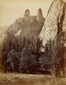  - Carleton Watkins