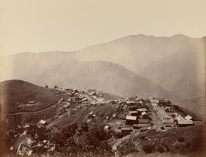  - Carleton Watkins