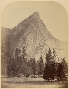  - Carleton Watkins