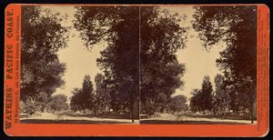 Vue de rue bordée d