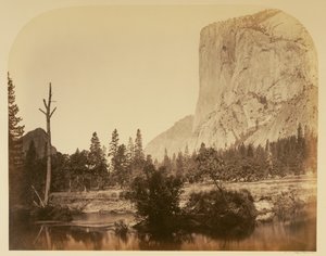 - Carleton Watkins
