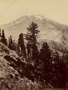  - Carleton Watkins