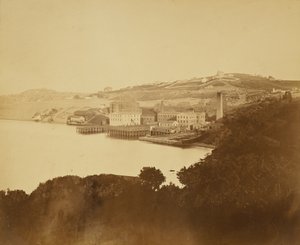  - Carleton Watkins