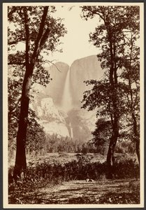 Les chutes du Yosemite - Carleton Watkins