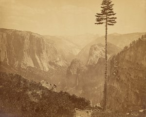  - Carleton Watkins