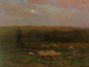 Soir après une averse