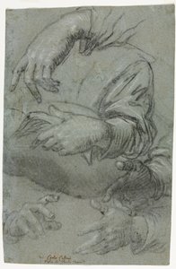 Études de mains recto, vers 1586 - Carletto Caliari