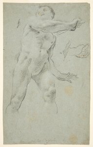 Nu masculin - Carlo Bononi